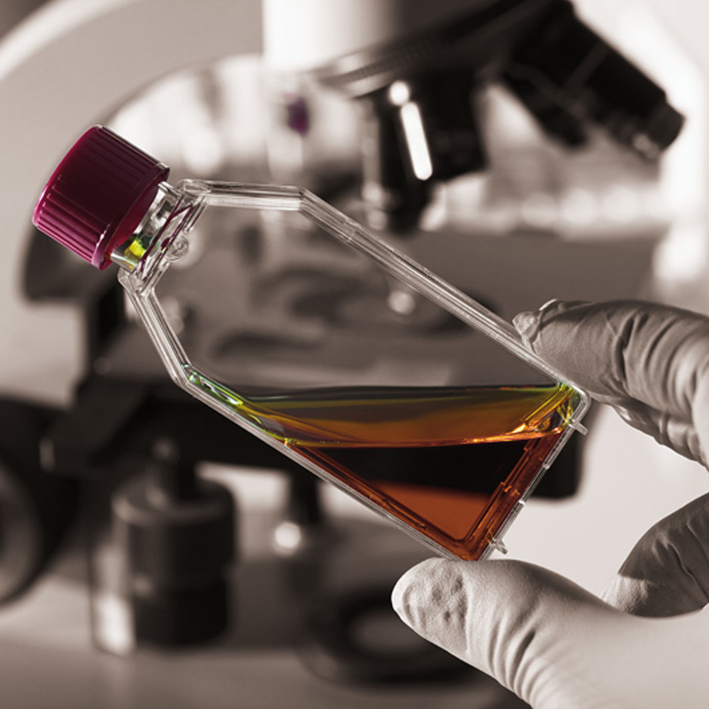 oil_analysis_equipment